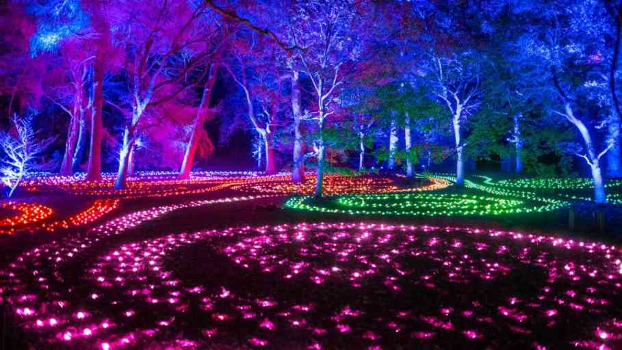 Descubre el costo de disfrutar las luces del Jardín Botánico CoJardin