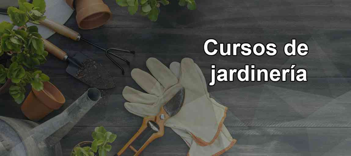 Guía Completa De Cursos De Jardinería Desde Descargas Gratuitas Hasta