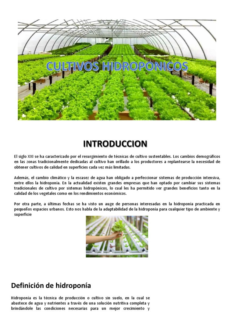 Guía Completa De La Jardinería Hidropónica Requisitos Ventajas Y
